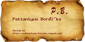 Pattantyus Boróka névjegykártya